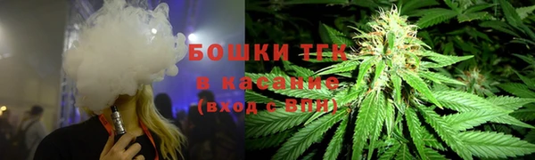 тгк Абаза