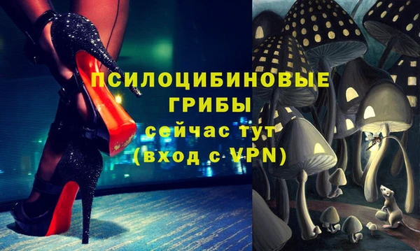 a pvp Абинск