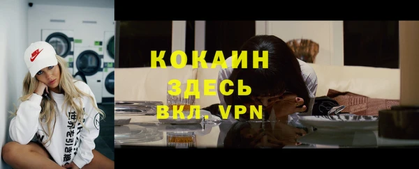 тгк Абаза
