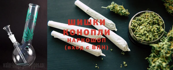 ГАЛЛЮЦИНОГЕННЫЕ ГРИБЫ Навашино