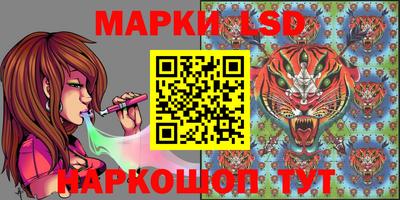 PSILOCYBIN Анжеро-Судженск